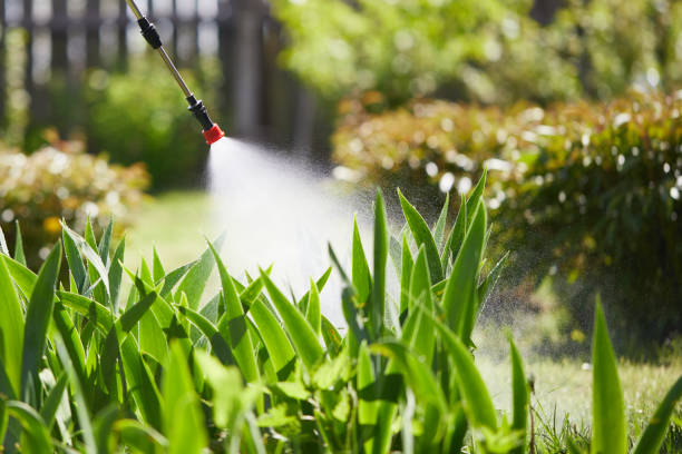 24/7 Emergency Wasp Removal experts in Maine, WI